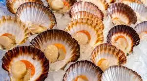 Ужин с Фанагорией