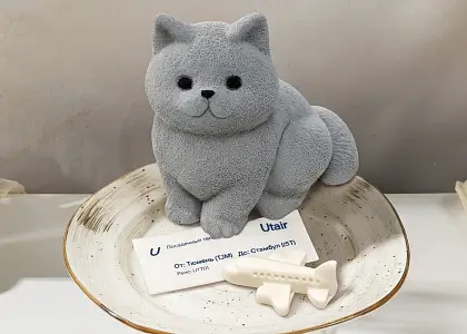 «Стамбульский котик» уже в кофейнях «Максим»!