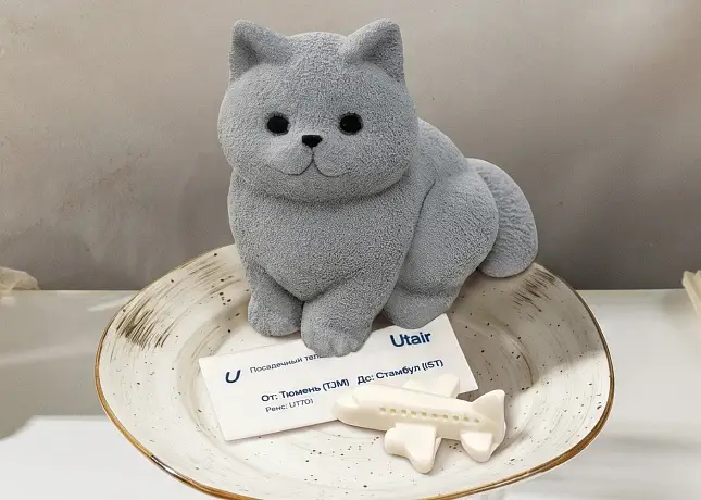 «Стамбульский котик» уже в кофейнях «Максим»!